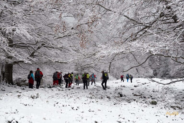 Salita a Pizzo Deta in inverno