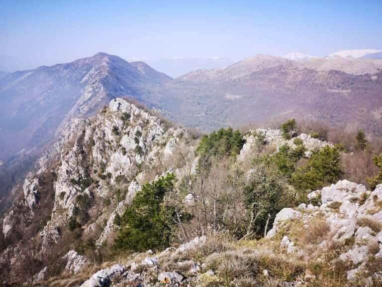 I fortini Tedeschi di Monte Cifalco