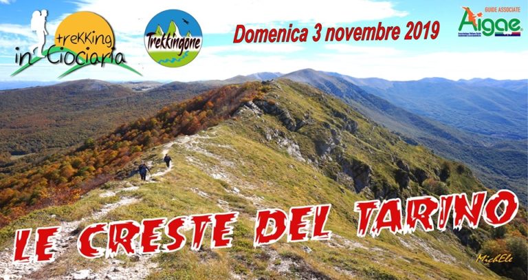 Sulle creste del Monte Tarino 9 Sulle creste del Monte Tarino