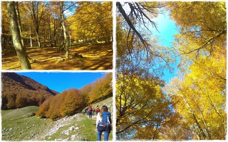 Forca d'Acero (FR, AQ), Foliage tra grotte, faggi e il santuario di Monte Tranquillo 1 Forca d’Acero (FR, AQ), Foliage tra grotte, faggi e il santuario di Monte Tranquillo