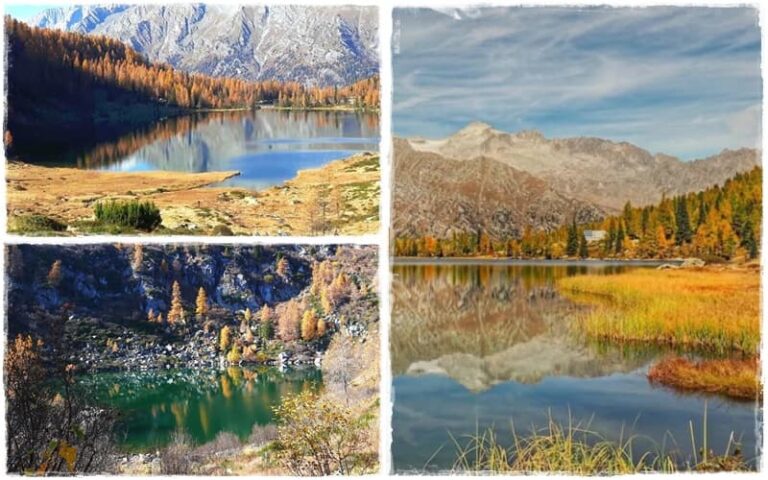 Trentino (TN), "Foliage, i riflessi d'oro nei laghi di San Giuliano, Garzonè e Vacarsa" 9 Trentino (TN), “Foliage, i riflessi d’oro nei laghi di San Giuliano, Garzonè e Vacarsa”