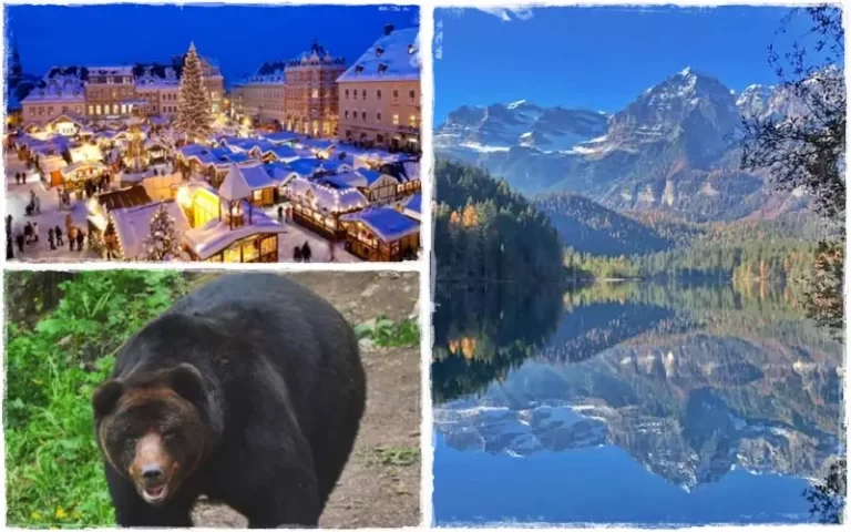 (Trentino), Mercatini di Natale Merano, Ossana, Bolzano, il lago di Tovel e il sentiero nella roccia 5 (Trentino), Mercatini di Natale Merano, Ossana, Bolzano, il lago di Tovel e il sentiero nella roccia