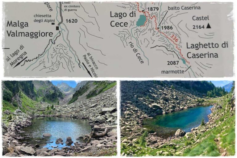 (Lagorai), i laghi Cese, Caserina e le marmotte 9 (Lagorai), i laghi Cese, Caserina e le marmotte