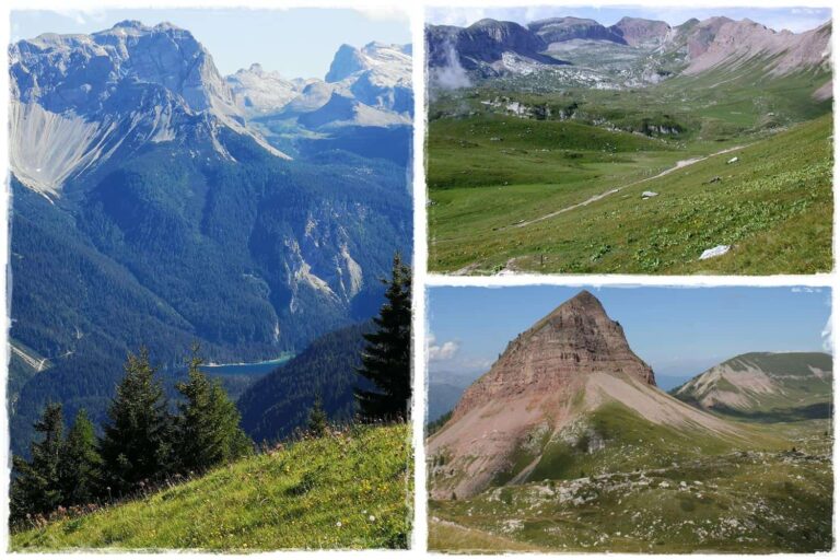 Monte Peller, Pian della Nana, un paradiso botanico 3 Monte Peller, Pian della Nana, un paradiso botanico
