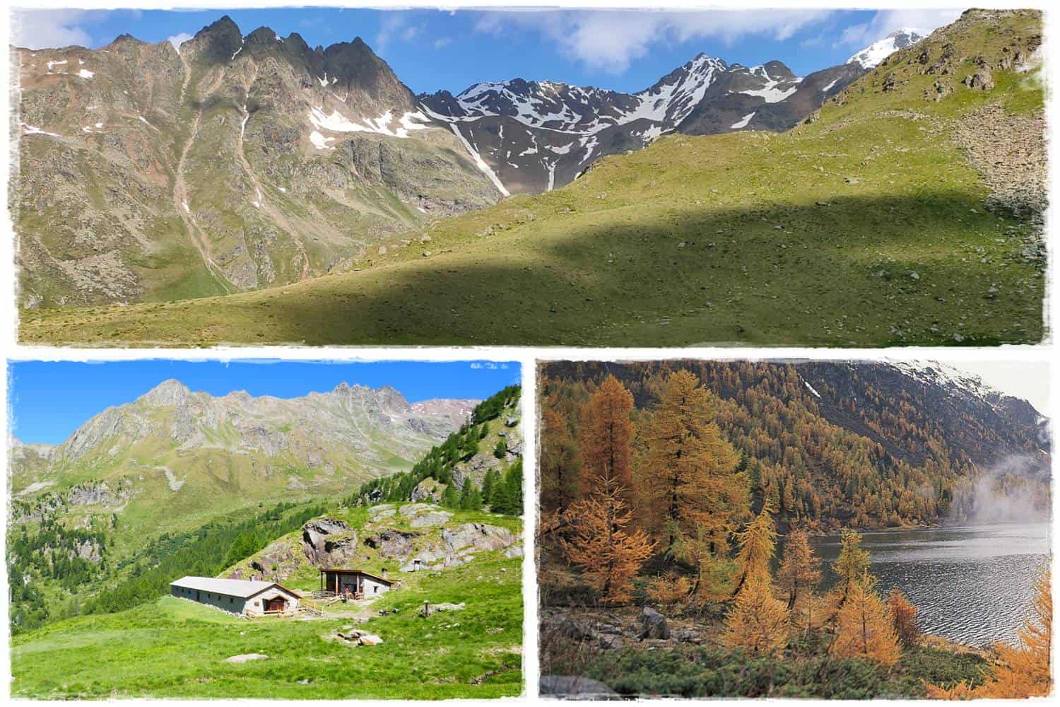 Escursioni giornaliere 5 Val di Pejo, Sentiero della Fauna