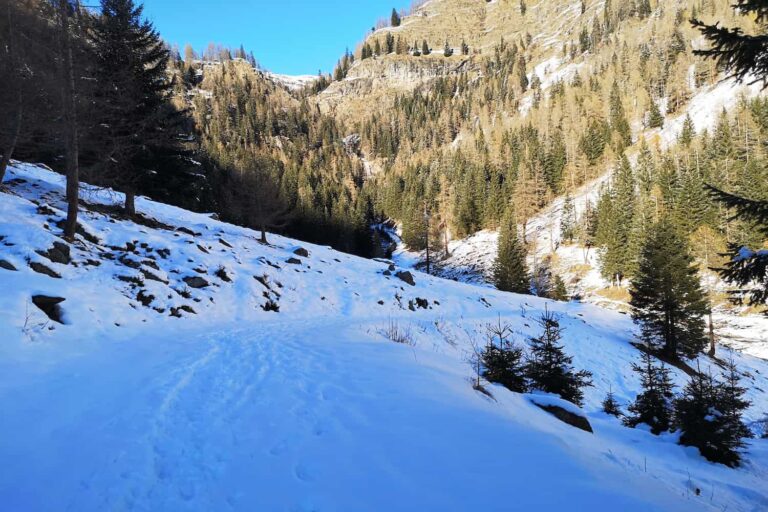 Val di Sole, sulla neve alla cascata di Saent 3 Cascata di Saent