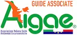 Logo AIGAE