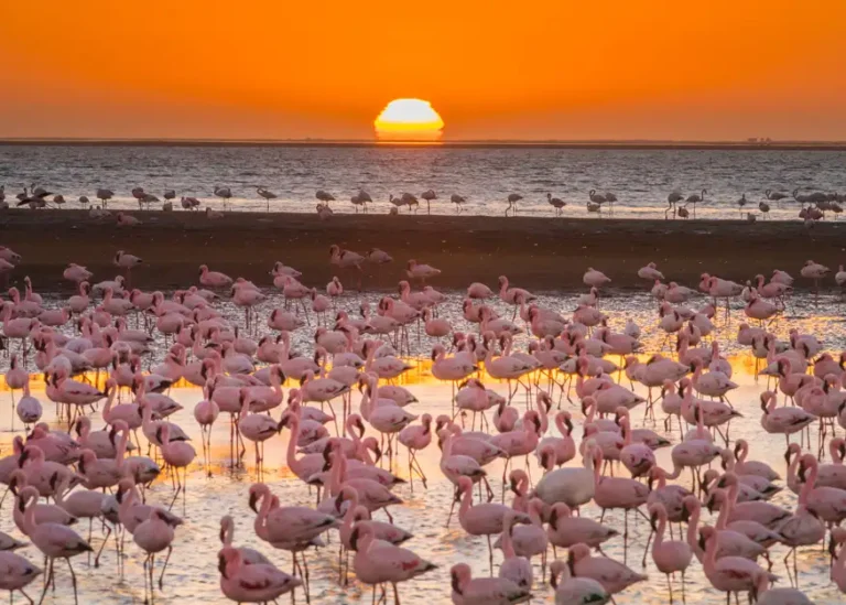 HIGHLIGHTS NAMIBIA 2025-26 14 HIGHLIGHTS NAMIBIA