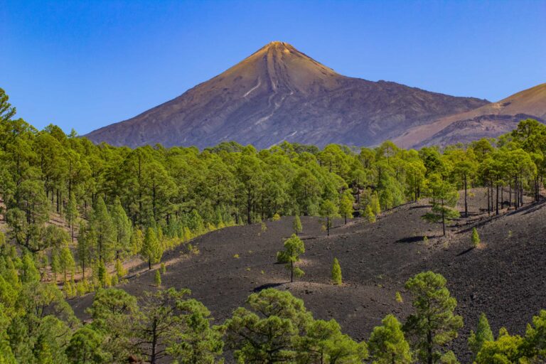 Alla Scoperta del Monte Teide: Il Maestoso Vulcano Spagnolo e Gioiello delle Canarie 3 Vulcano Teide