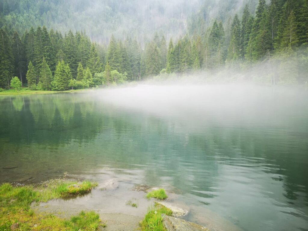 lavora con noi 1 Lago dei Caprioli