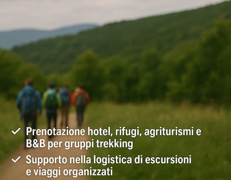 logistica