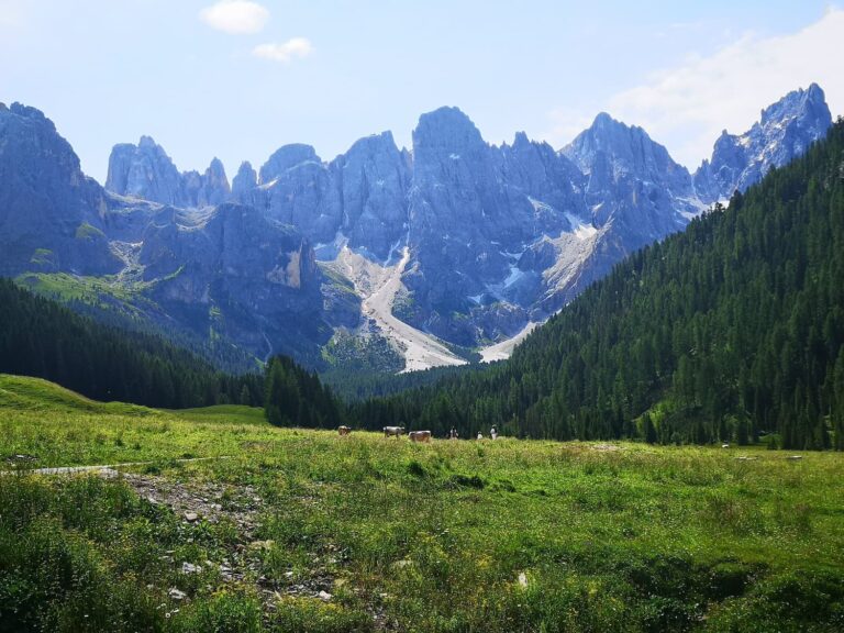 Val Venegia