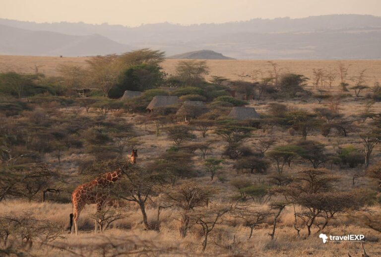 (Tanzania) Natale nella Savana, Capodanno sull’Oceano