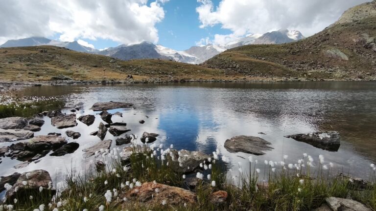 Rifugio Larcher, Lago del Careser 08.2026 2 Rifugio Larcher, Lago del Careser 08.2026