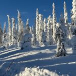 CiaspoLapponia: Parco Nazionale Pallas-Yllästunturi tra foreste artiche, silenzio e Aurora Boreale 19 gg 7