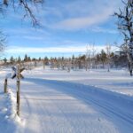 CiaspoLapponia: Parco Nazionale Pallas-Yllästunturi tra foreste artiche, silenzio e Aurora Boreale 11 gg 8