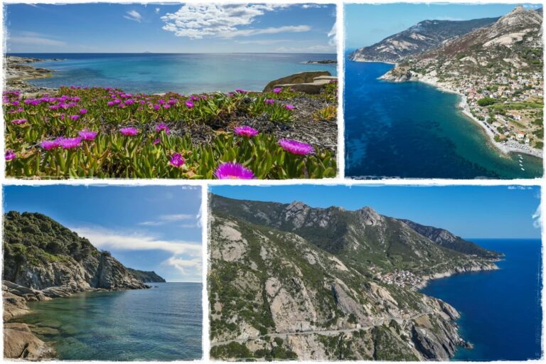 Isola d'Elba tra costa, macchia mediterranea e storia 24 Isola d'Elba